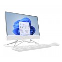 Ordinateur All in One HP 22-dd2000nk (6E1Q8EA)
