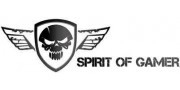 Spirit of Gamer